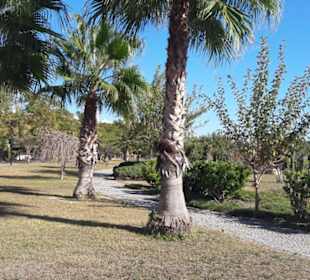 Dieser Blick ist einzig