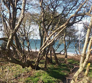 Wandern Börgerende-Rethwisch