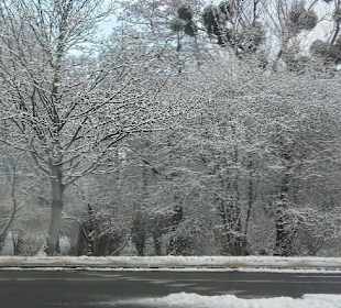Winter walk at Park Jelitkowski, Gdańsk, Poland