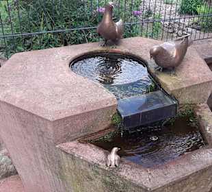 Äbte-Grafen-Herzöge: Rundweg Limburg-Hardenburg