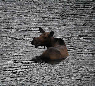 Moose Lake