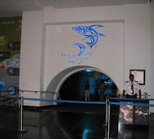 Eingang zum Aquarium