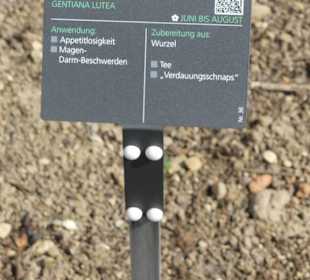 Hinweistafel zum eingepflanzten Kraut