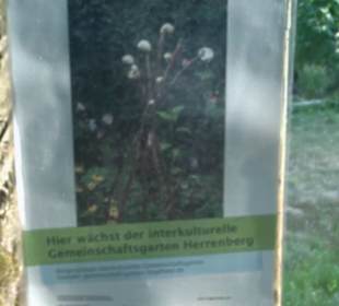 Interkultureller Gemeinschaftsgarten