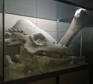 Discovery Park Manavgat 