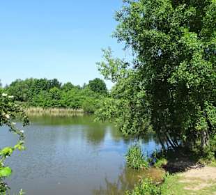 Impressionen vom Krimpelsee
