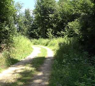 Naturerlebnispfad Sternberg