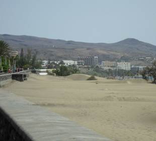 Dünen/ Weg zum Strand