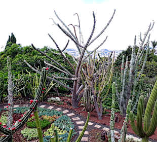Botanischer Garten