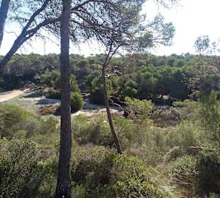 Naturpark Mondrago
