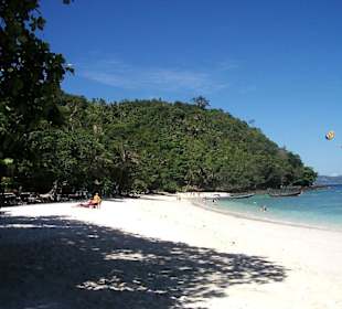 Coral - Island