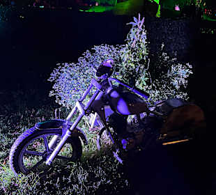 Herbstlichter Brückenkopfpark