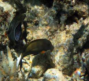 Bilder vom 13.10.16 von mir geschossen