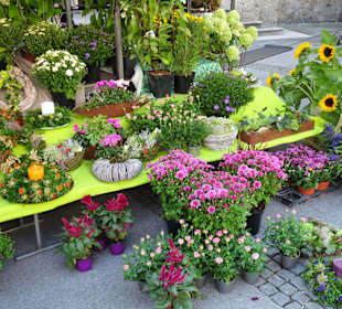 Impressionen vom Salzburger Grünmarkt