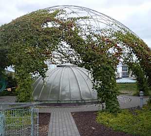 Ogród na dachu Biblioteki Uniwersyteckiej