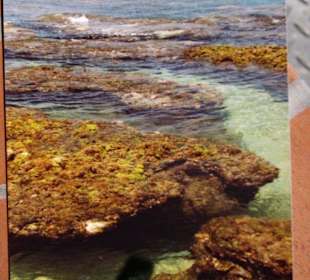 Schnorcheln in Taiwan/Kending/Kenting Bild 3.