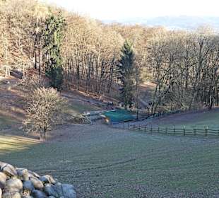 Bergtierpark Odenwald