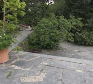 Mittelmeerterrassen - Alter Botaischer Garten