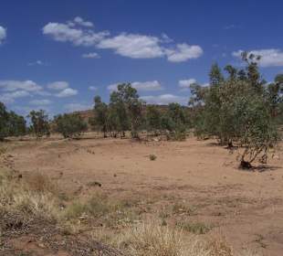 Droog landschap Alice Springs