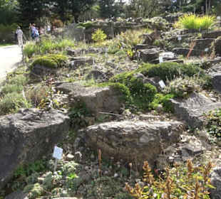 Alpinum
