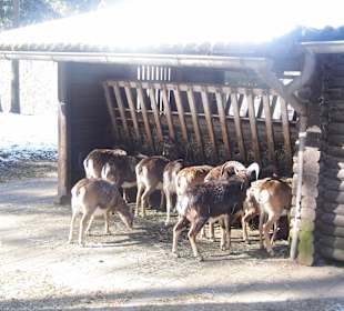 ImpressionOstern2013