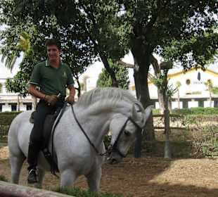 Stolze Reiter, stolze Pferde