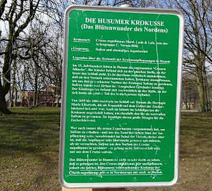 Hinweis zur Krokusblüte