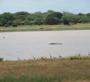Tsavo Ost