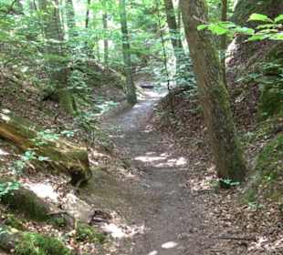 Wanderweg - Alter Steinbruch Pfaffenberg Runde