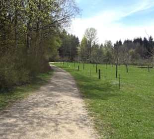 Streuobstwiesen der Hopfenburg