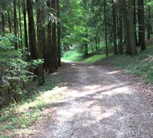 Waldlehrpfad in Tieringen
