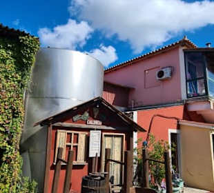 Gelände Weingut Callinico