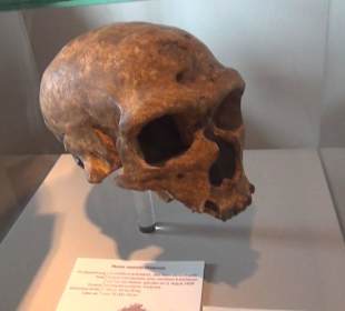 Entwicklung der Menschen