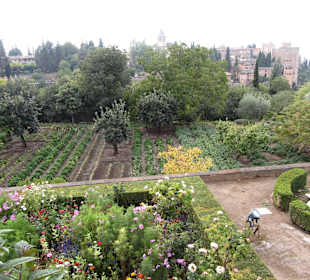 Generalife