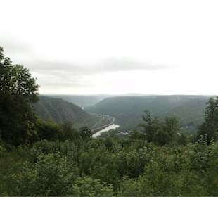 Blick auf die Mosel