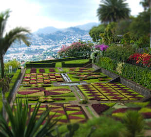 Gartenanlage Monte in Funchal