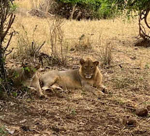Geführte Touren Marco Polo Tours & Safaris Diani Beach