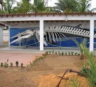 Das Meersekundemuseum mit robetours.de