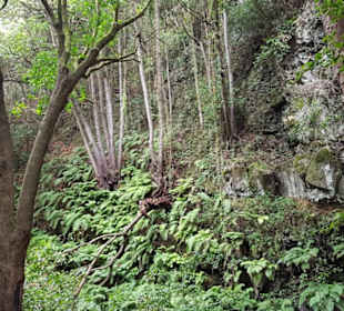 Schlucht Cubo de la Galga