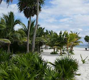 Strand Playa del Carmen/Playacar