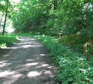 Premiumwanderweg "hochgelegen"