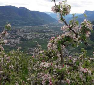 Wandern Lana