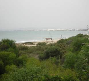 Wunderschöne Gartenanlage