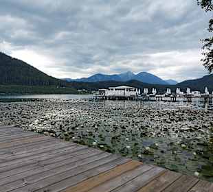 Klopeiner See