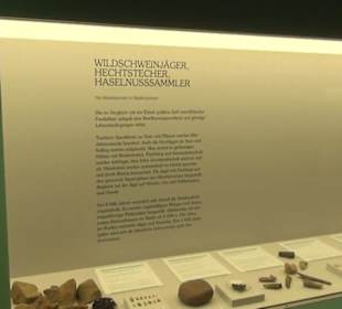 Niedersächsisches Landesmuseum