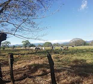 Wandern Las Lajas