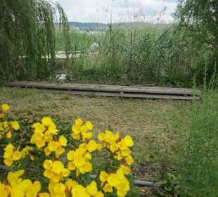 Insel Reichenau 