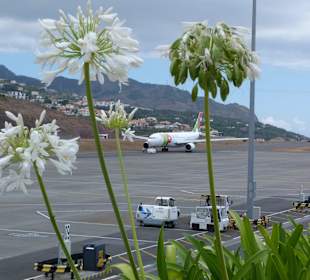 Level 3: Aussichtsterrasse