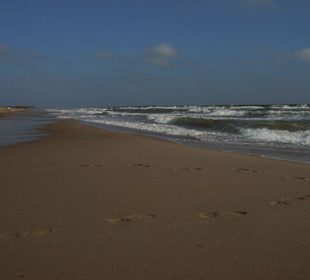 Strand von Schönhagen