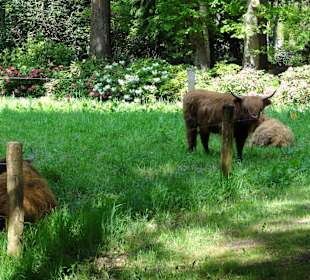 Impressionen vom Rundweg durch den Park